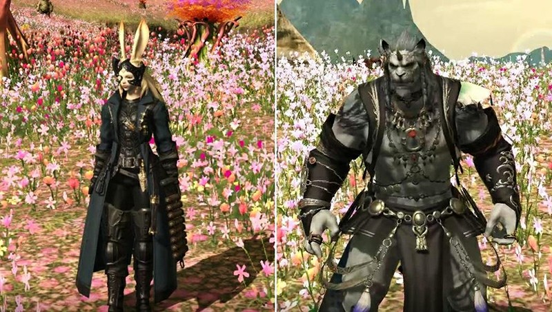 Two new races come with Shadowbringers: Viera and Hrothgar.